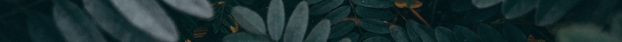 banner-foliage banner-foliage